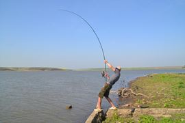 Costin COD